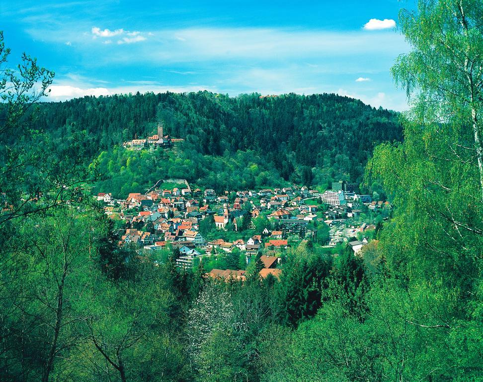 Hotel Hochwald Bad Liebenzell Camera foto